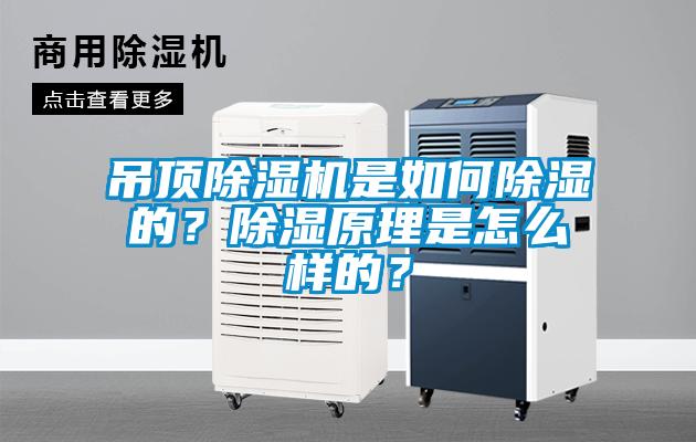 吊頂除濕機是如何除濕的?除濕原理是怎么樣的?