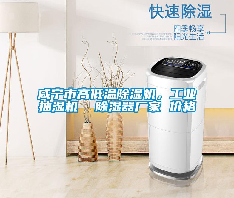 咸寧市高低溫除濕機(jī),工業(yè)抽濕機(jī) 除濕器廠家 價(jià)格