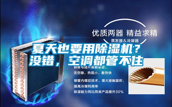 夏天也要用除濕機(jī)?沒錯(cuò),空調(diào)都管不住