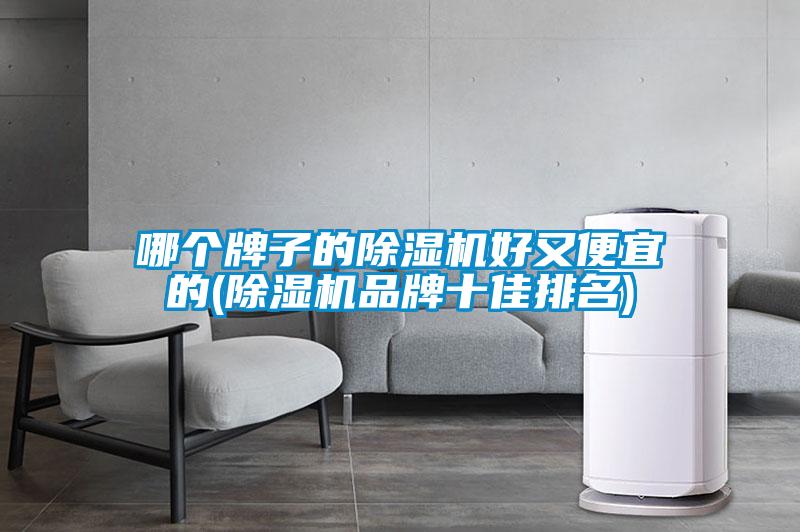 哪個牌子的除濕機好又便宜的(除濕機品牌十佳排名)