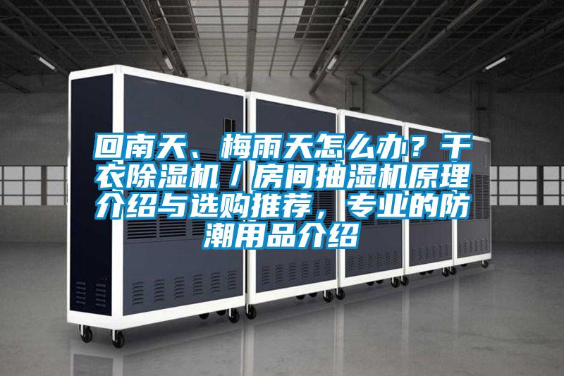 回南天、梅雨天怎么辦?干衣除濕機/房間抽濕機原理介紹與選購推薦,專業(yè)的防潮用品介紹