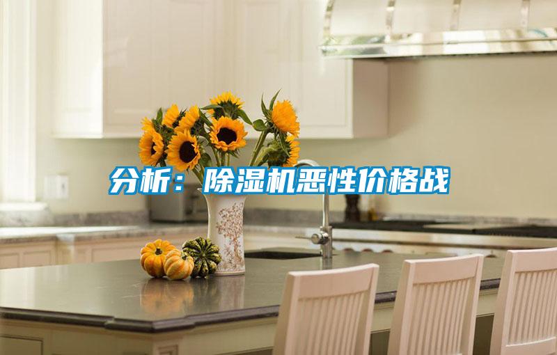 分析：除濕機惡性價格戰