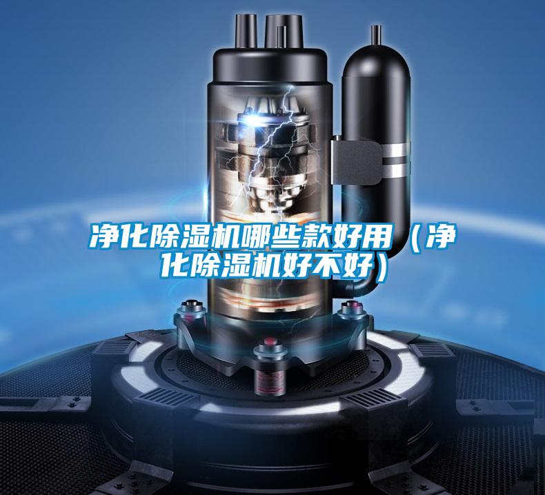 凈化除濕機哪些款好用(凈化除濕機好不好)