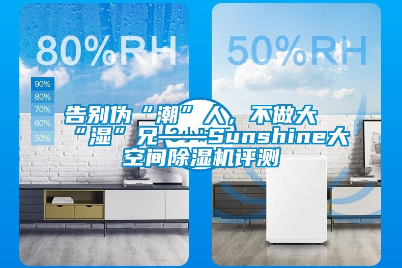 告別偽“潮”人,不做大“濕”兄——Sunshine大空間除濕機評測