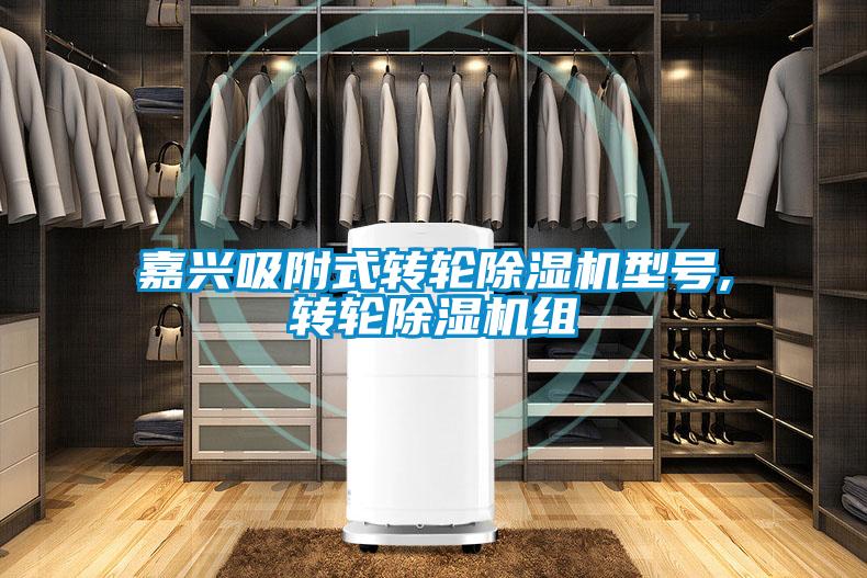 嘉興吸附式轉(zhuǎn)輪除濕機型號,轉(zhuǎn)輪除濕機組