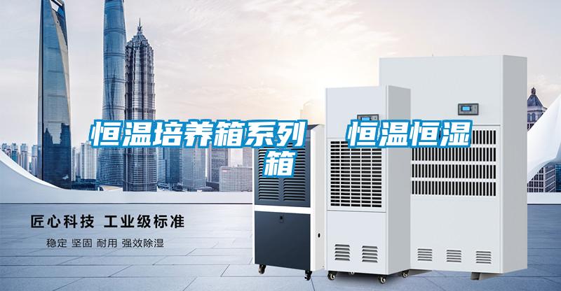 恒溫培養箱系列 恒溫恒濕箱