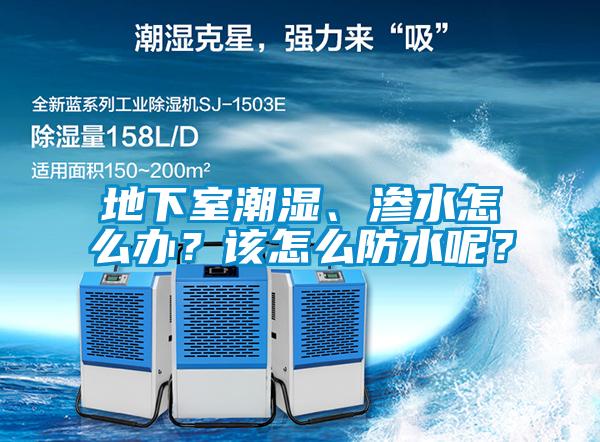 地下室潮濕、滲水怎么辦?該怎么防水呢?