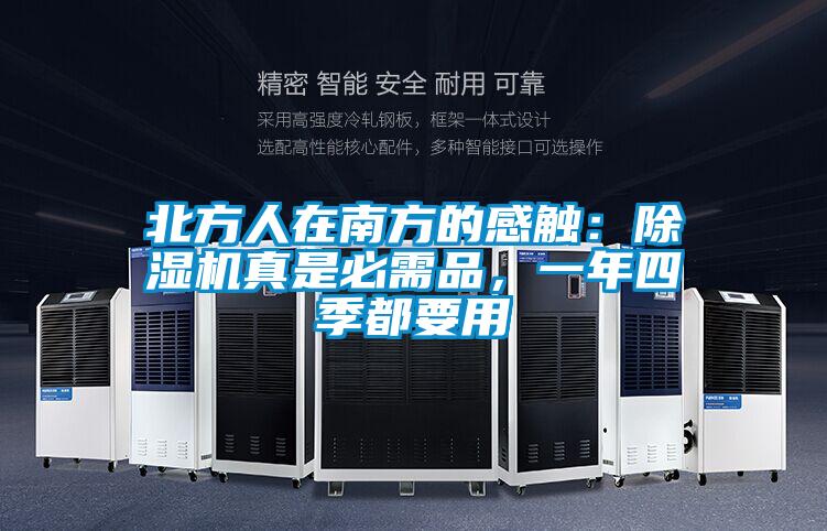 北方人在南方的感觸:除濕機真是必需品,一年四季都要用
