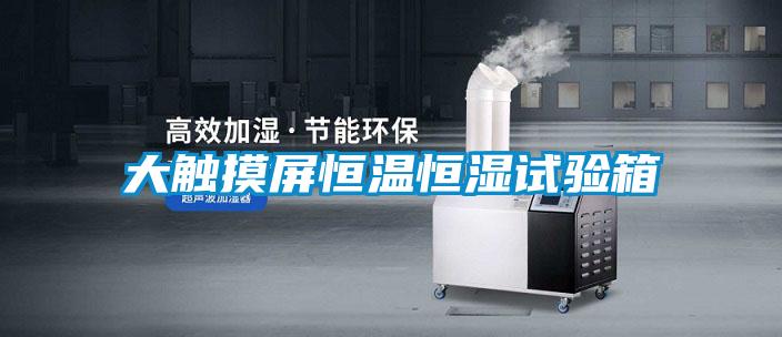 大觸摸屏恒溫恒濕試驗箱