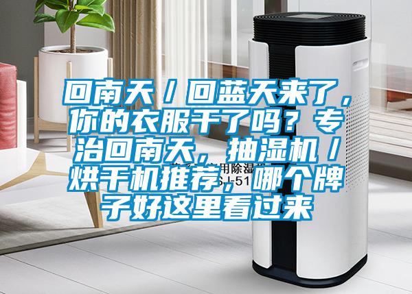 回南天/回藍(lán)天來了,你的衣服干了嗎?專治回南天,抽濕機(jī)/烘干機(jī)推薦,哪個牌子好這里看過來