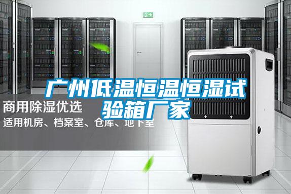 廣州低溫恒溫恒濕試驗箱廠家