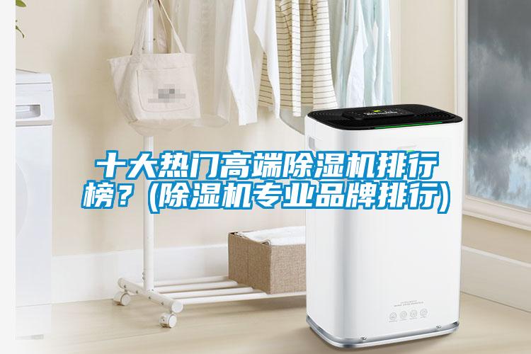 十大熱門高端除濕機排行榜？(除濕機專業(yè)品牌排行)