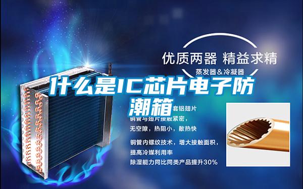 什么是IC芯片電子防潮箱