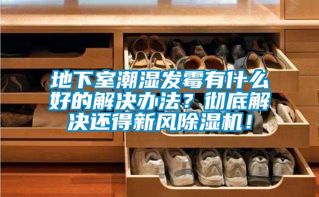 地下室潮濕發(fā)霉有什么好的解決辦法?徹底解決還得新風(fēng)除濕機(jī)!
