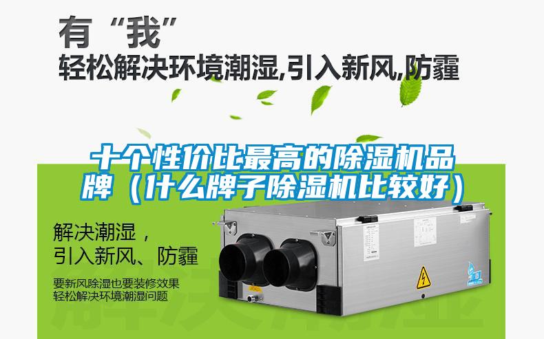 十個性價比最高的除濕機品牌(什么牌子除濕機比較好)