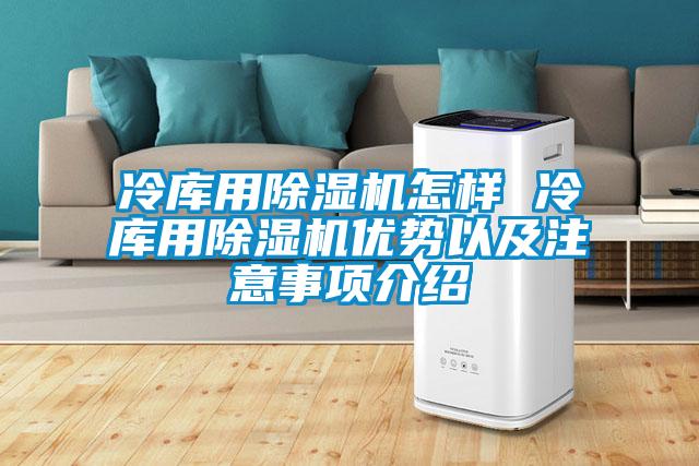 冷庫用除濕機怎樣 冷庫用除濕機優勢以及注意事項介紹