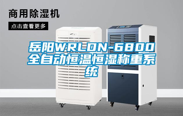 岳陽WRLDN-6800全自動恒溫恒濕稱重系統