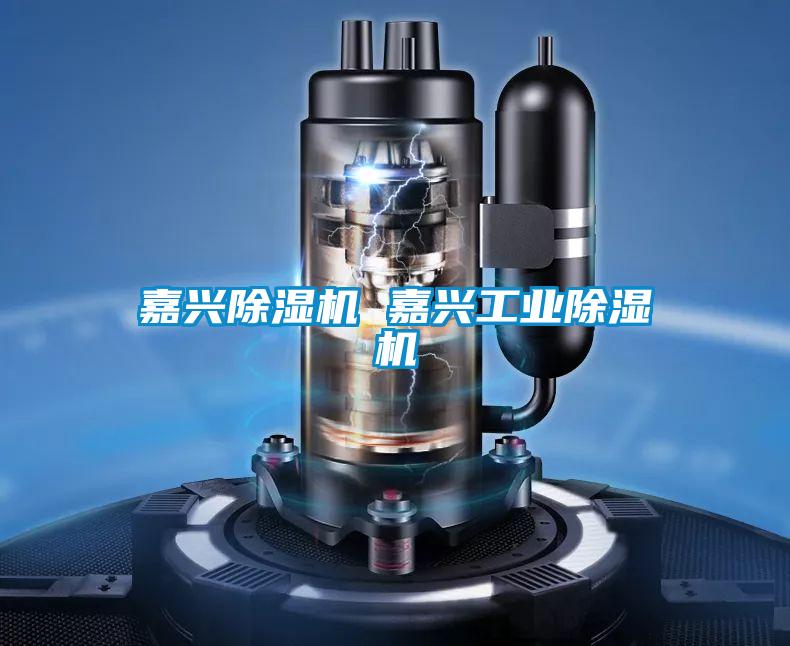 嘉興除濕機 嘉興工業除濕機