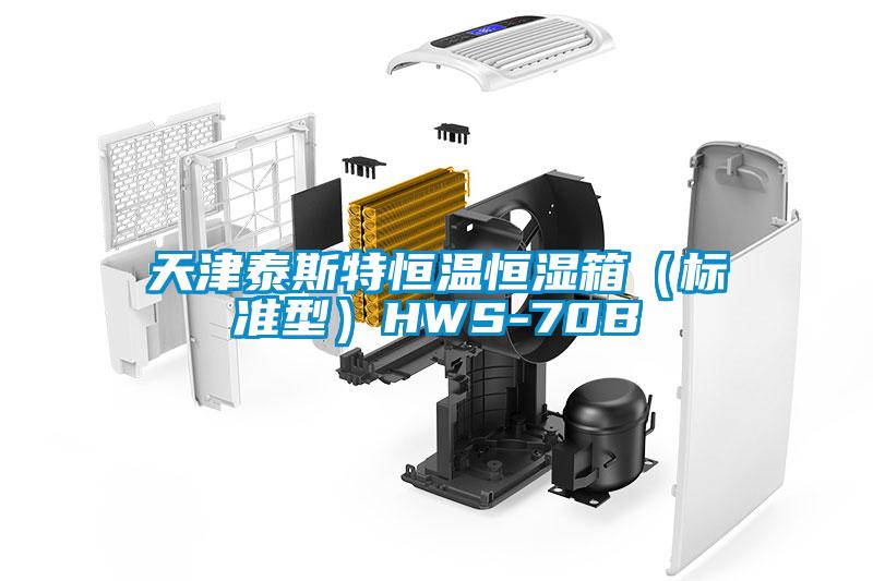 天津泰斯特恒溫恒濕箱（標(biāo)準(zhǔn)型）HWS-70B