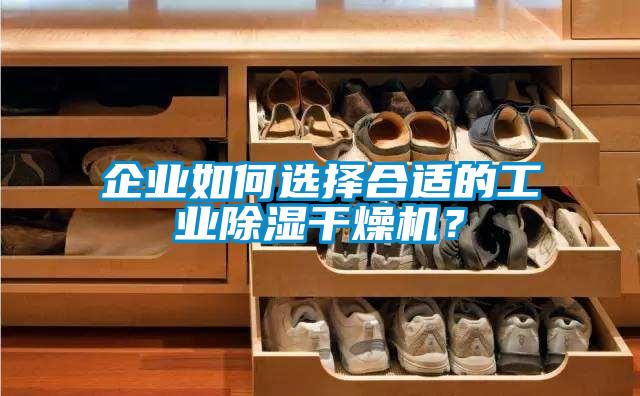 企業如何選擇合適的工業除濕干燥機?