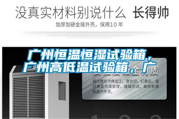 廣州恒溫恒濕試驗箱,廣州高低溫試驗箱,廣