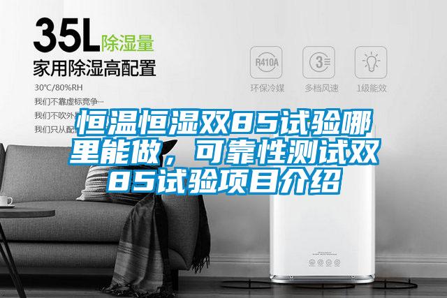 恒溫恒濕雙85試驗?zāi)睦锬茏觯煽啃詼y試雙85試驗項目介紹