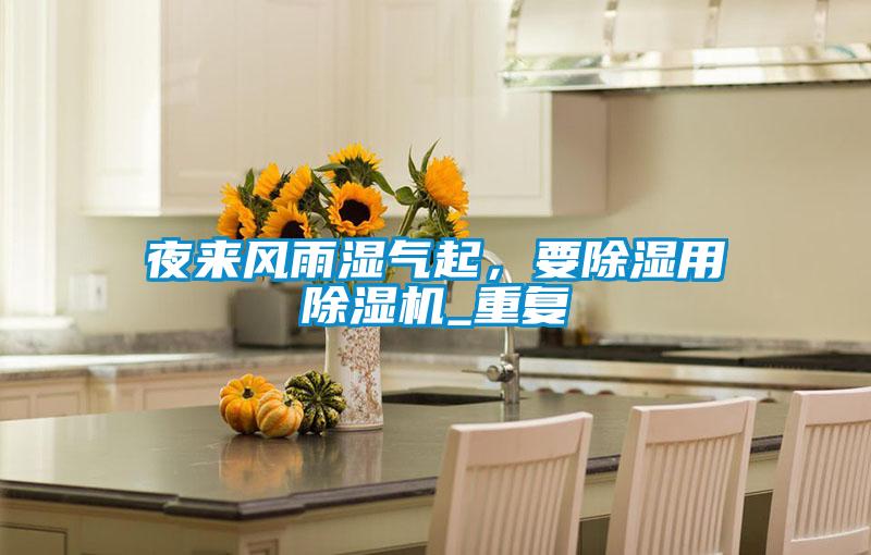 夜來風雨濕氣起,要除濕用除濕機_重復