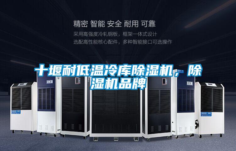 十堰耐低溫冷庫除濕機,除濕機品牌