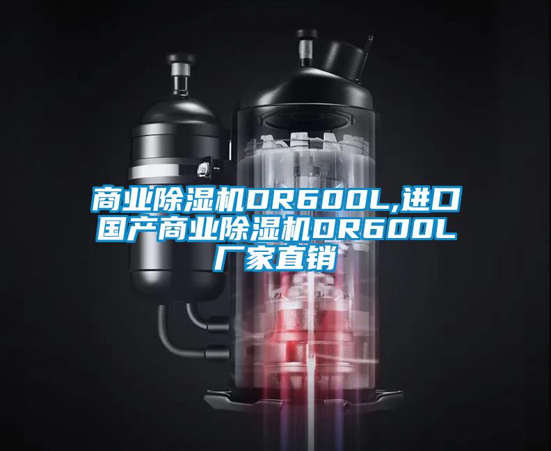 商業除濕機DR600L,進口國產商業除濕機DR600L廠家直銷