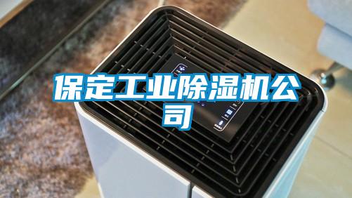 保定工業除濕機公司