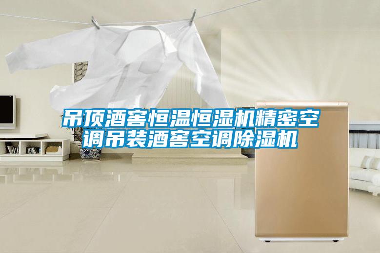 吊頂酒窖恒溫恒濕機精密空調吊裝酒窖空調除濕機