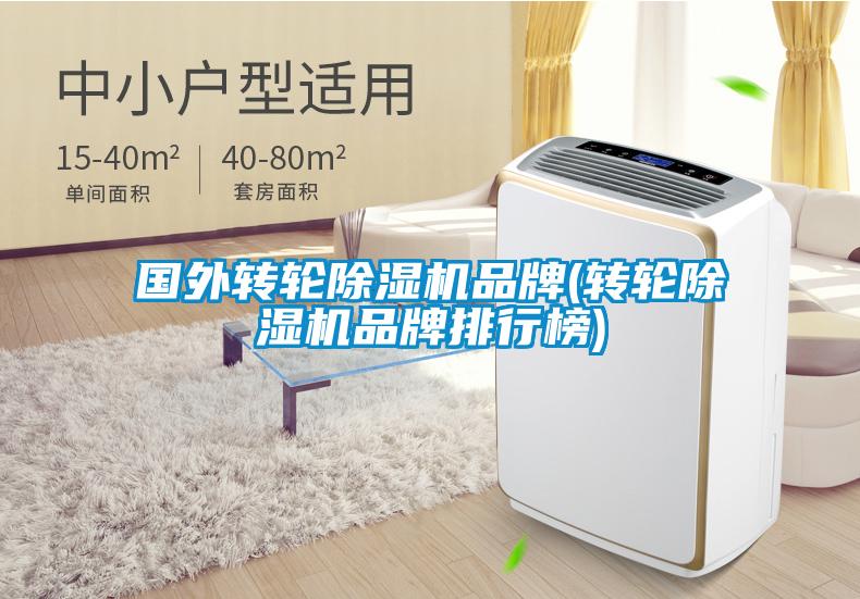 國外轉輪除濕機品牌(轉輪除濕機品牌排行榜)
