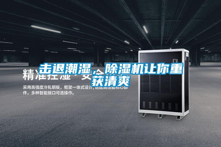 擊退潮濕,除濕機讓你重獲清爽