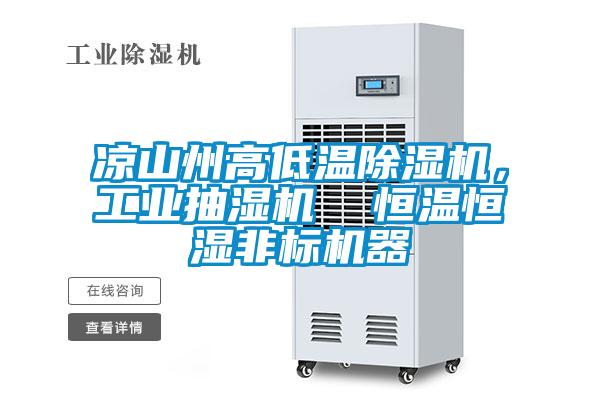 涼山州高低溫除濕機，工業抽濕機  恒溫恒濕非標機器