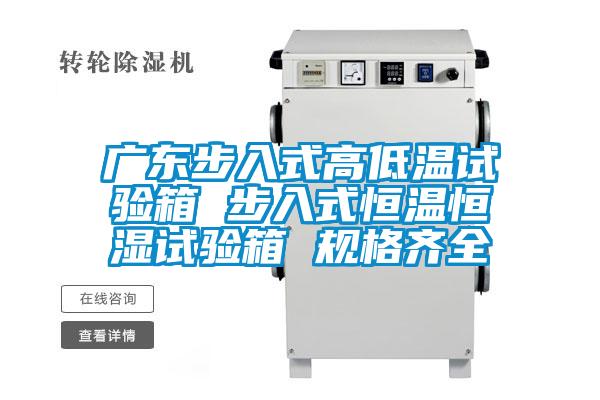 廣東步入式高低溫試驗箱 步入式恒溫恒濕試驗箱 規(guī)格齊全