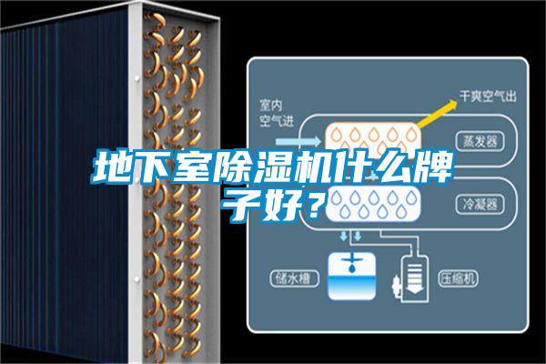 地下室除濕機什么牌子好?