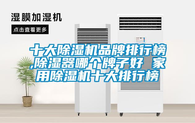 十大除濕機品牌排行榜,除濕器哪個牌子好 家用除濕機十大排行榜