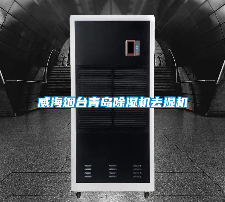 威海煙臺青島除濕機去濕機