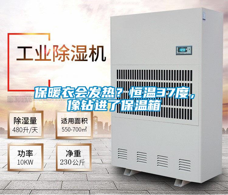 保暖衣會發熱?恒溫37度,像鉆進了保溫箱