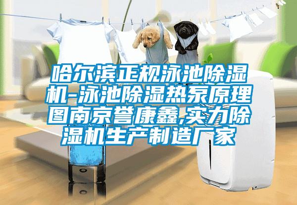 哈爾濱正規泳池除濕機-泳池除濕熱泵原理圖南京譽康鑫,實力除濕機生產制造廠家