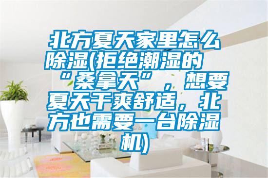 北方夏天家里怎么除濕(拒絕潮濕的“桑拿天”,想要夏天干爽舒適,北方也需要一臺除濕機)