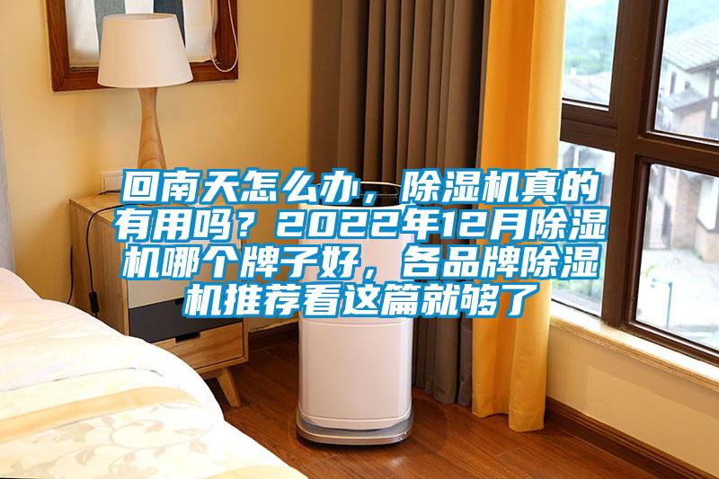 回南天怎么辦,除濕機真的有用嗎?2022年12月除濕機哪個牌子好,各品牌除濕機推薦看這篇就夠了
