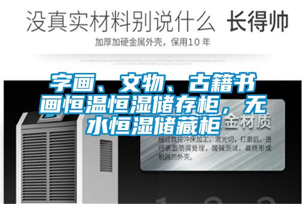 字畫、文物、古籍書畫恒溫恒濕儲存柜,無水恒濕儲藏柜