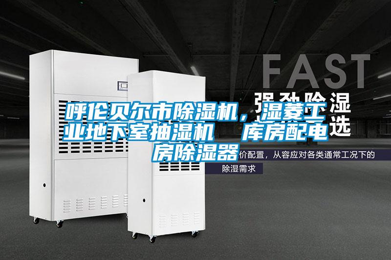 呼倫貝爾市除濕機(jī)，濕菱工業(yè)地下室抽濕機(jī)  庫房配電房除濕器