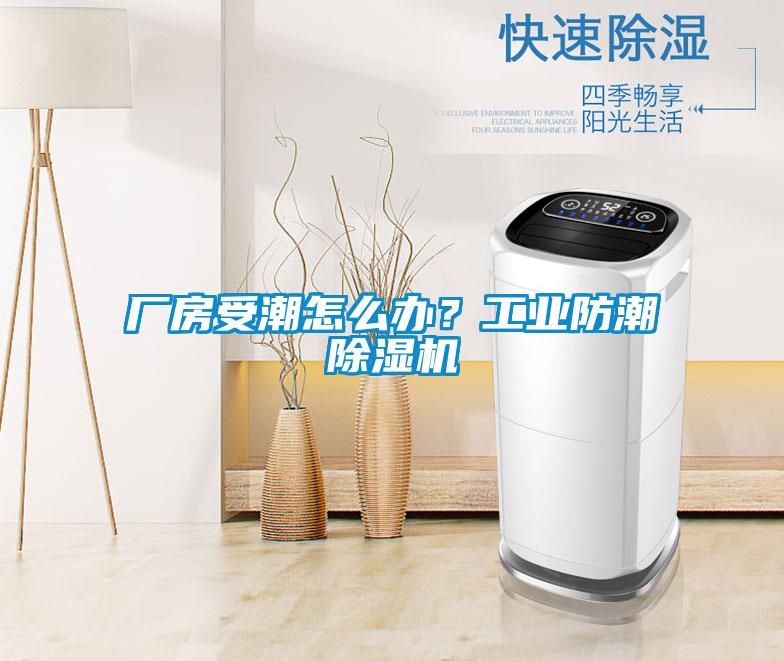 廠房受潮怎么辦?工業防潮除濕機
