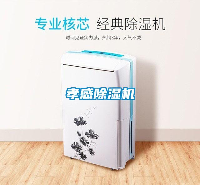 孝感除濕機