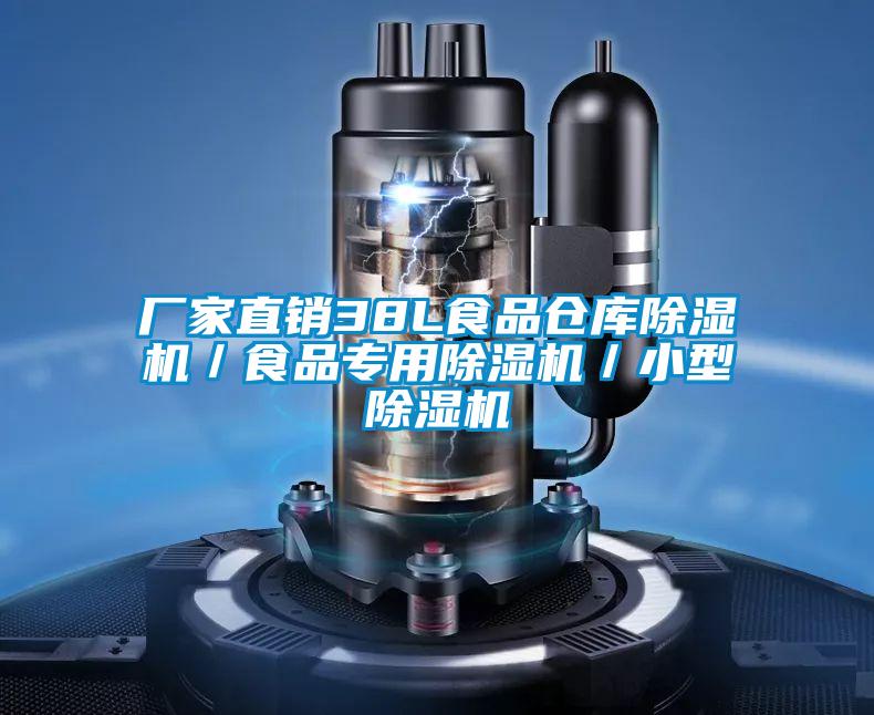 廠家直銷38L食品倉庫除濕機/食品專用除濕機/小型除濕機