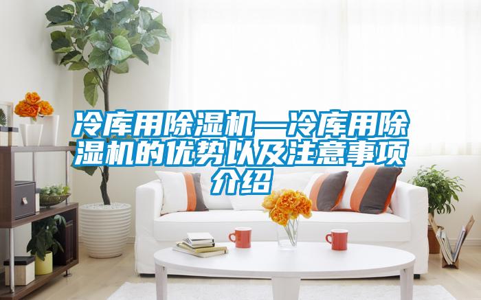 冷庫用除濕機—冷庫用除濕機的優勢以及注意事項介紹