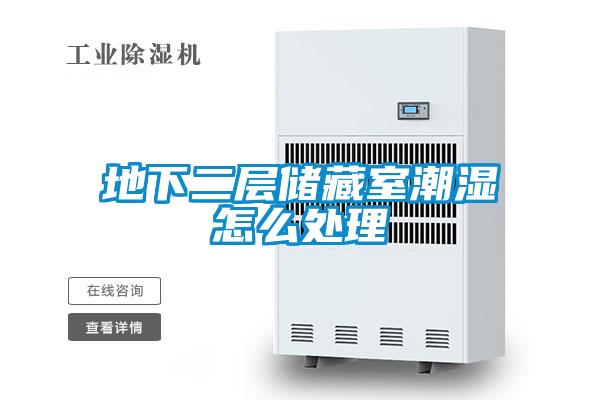 地下二層儲藏室潮濕怎么處理