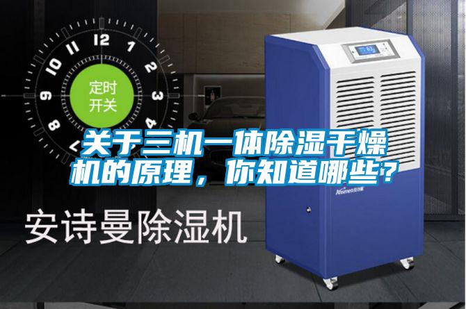 關于三機一體除濕干燥機的原理，你知道哪些？